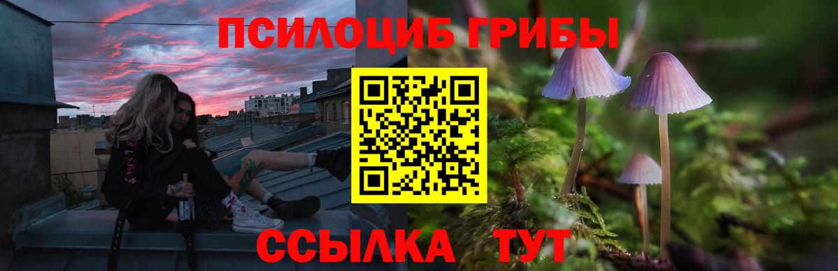 Псилоцибиновые грибы ЛСД Губаха