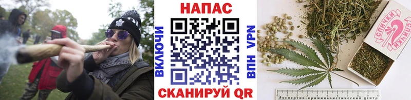 как найти наркотики  Губаха  кракен зеркало  Конопля OG Kush 